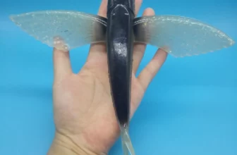 EXCITADOR PEZ VOLADOR